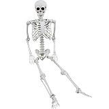XONOR Esqueleto posable de Halloween de 165 cm, esqueletos humanos realistas, huesos de cuerpo completo con articulaciones móviles para accesorios de Halloween, decoración de fiesta espeluznante