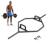 Barbell Titan: análisis y comparación de los mejores productos para tatuajes