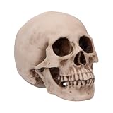 **Calavera Realista: Comparativa y Análisis de los Mejores Productos para Tatuajes**