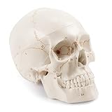 <h2Calavera humana en tatuajes: análisis y comparativa de los mejores productos para tinta, seguridad y resultados