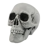 Fangoo Calaveras de Halloween Realista Buscando pequeñas Cabezas de cráneos Miedo de Halloween cráneo Humano Cabeza del cráneo de plástico para la Fiesta de Halloween casa Foto Prop decoración (XL)