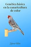 Basic colors en tatuajes: análisis y comparación de los mejores productos para lograr tonos básicos duraderos