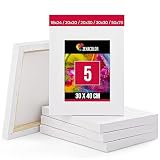 Set de 5 Lienzos para Pintar de 30x40cm - Canvas Lienzo - Para Todo Tipo de Pintura: Acrílico, Oleo, Acuarela - Lienzos 100% Algodón sin Ácidos con Bastidor de Madera para Telas Blancas