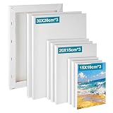 Set de 9 Lienzos Para Pintar 30x20 20x15 15x10cm, Lienzo Para Pintar en Algodón Blanco Triple Imprimación, Canvas Lienzos para Pintura Acrílica, Cuadros Para Pintar para Artistas y Principiantes