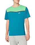 PRO TOUCH Aksel T-Shirt Blueaqua/Green XL