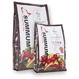 Comida húmeda para Perros Summum Beef 5Kg
